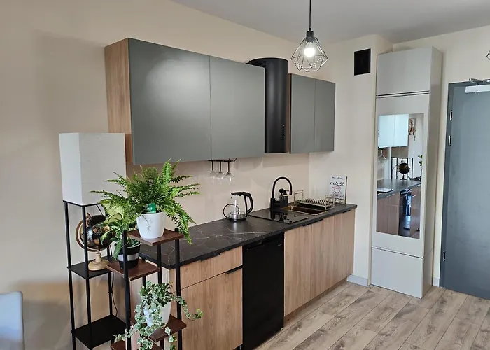 La Darsena Old Town 公寓