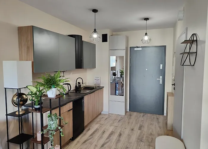 La Darsena Old Town 格但斯克